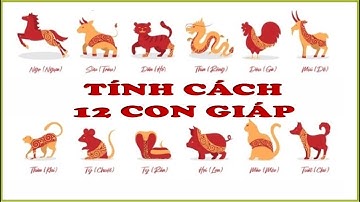 Ý nghĩa 12 Con giáp và Người tuổi Tỵ