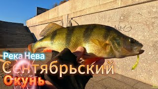 РЫБАЛКА ТРОФЕЙНЫЙ ОКУНЬ НЕВА ОСЕНЬ  ВЕЧЕРНИЙ КЛЁВ БЫВАЕТ РАЗНЫМ КЛЁВЫЕ ТОЧКИ ИЩЕМ ОКУНЯ СУДАКА