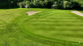 Golf De L'empereur (Waterloo, Belgique) - Trou N° 11