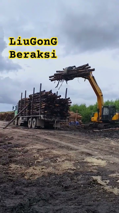 #THIS LOCATION MY TEAM,,LiuGong Porestry #fyp