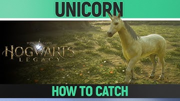 Hogwarts Legacy - Unicorn Location - How to Catch