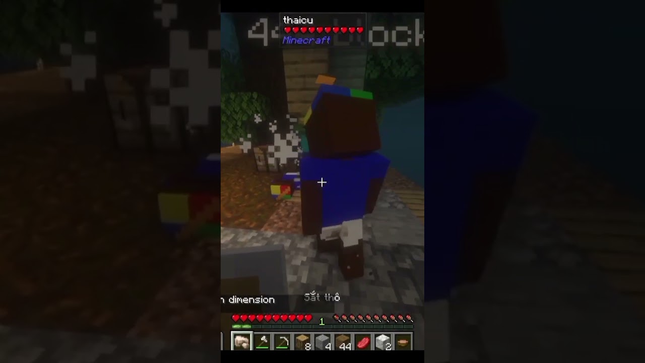 #minecraftsurvival