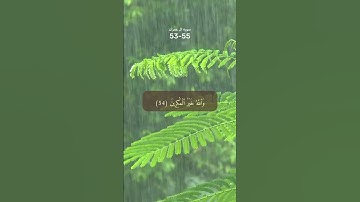 #اكسبلور #المصحف سورة ال عمران 53-55