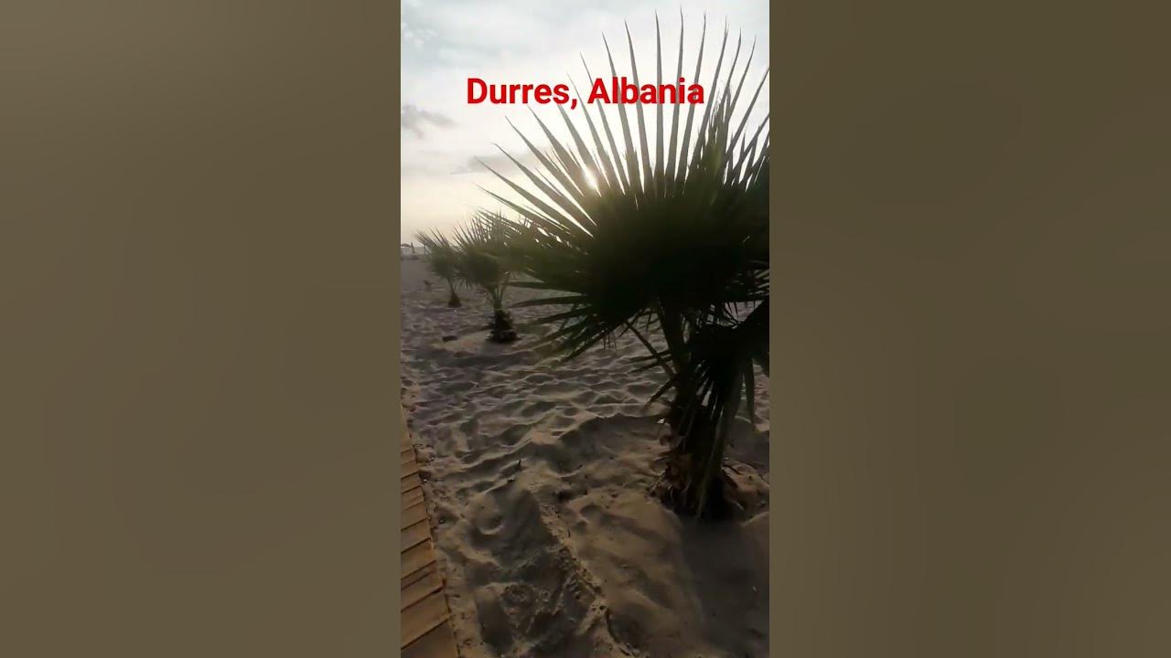 Дуррес Албания пальмы фонтан