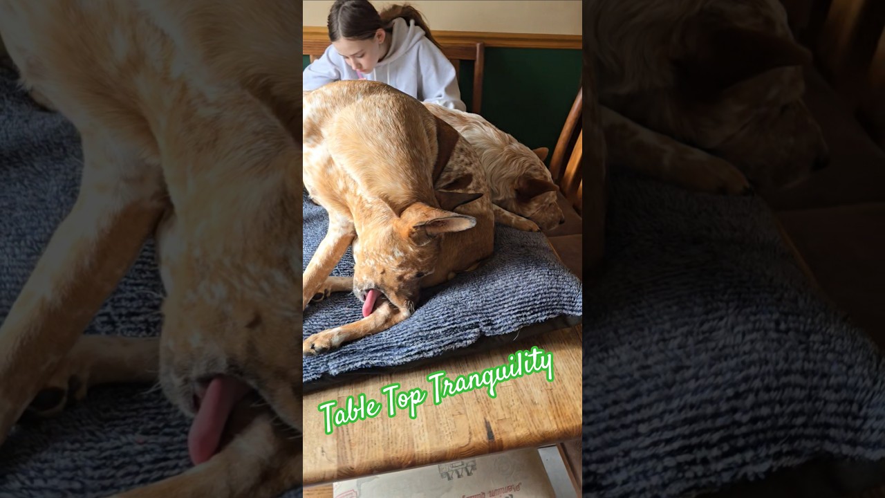 Table Top Tranquility 