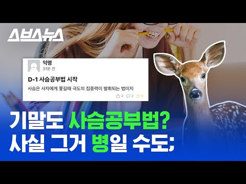 이번 기말고사 사슴공부법 하는 사람 어쩌면 병일 수도 스브스뉴스