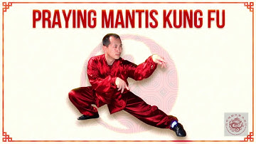 LEARN MANTIS KUNG FU ONLINE | MMA of ANCIENT CHINESE MARTIAL ARTS