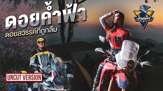 #ทัวร์แก่ๆ ตามล่าซากุระเมืองไทย ดอยค้ำฟ้า ดอยสวรรค์ที่ถูกลืม | Viewfinder มั่นใจไทยเที่ยว EP.36