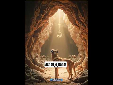 Ashab E Kahf Aur Wafadar Kutta Qurani Waqia Ashabekahaf Facts Islamicstory
