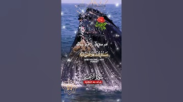 تلاوة خاشعة عطرة مباركة جميلة عذبة للشيخ ماهر المعيقلي ماتيسر من سورة الأعلى