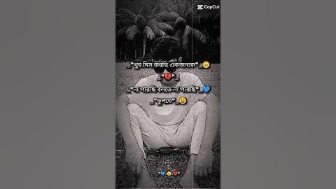Tayeb