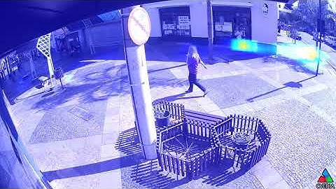 TALOS Social Distancing Analysis