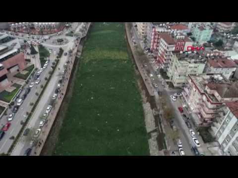 Asi Nehri'nin yüzeyi