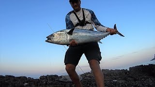 10 kg False Albacore (Euthynnus alletteratus). Light shore jigging (!). 26.05.2018