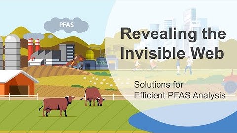 Revealing the Invisible Web: Solutions for Efficient PFAS Analysis