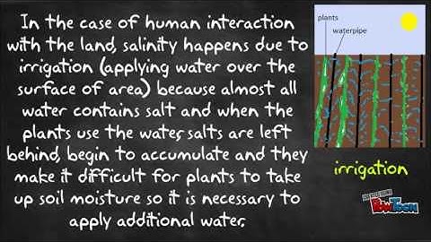 Soil salinity - Explanatory video