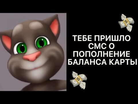 Меняющиеся лица кот