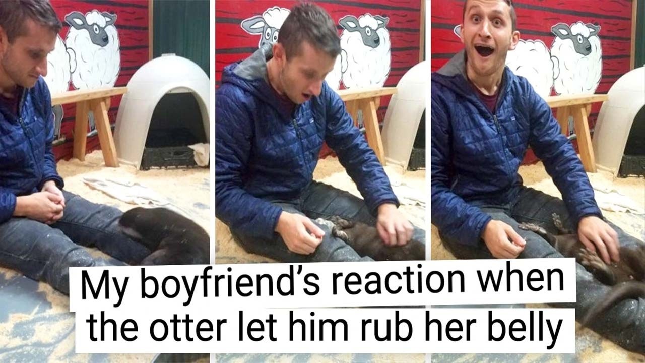 Photos That Are Guaranteed to Put a Smile on Your Face