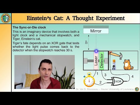 Einstein’s Cat: A