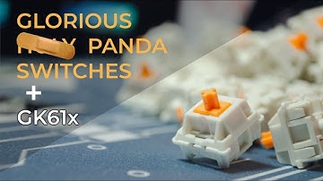 Glorious Panda Switches ft. GK61x | (Lubricado) (Sound test) (Visual review)