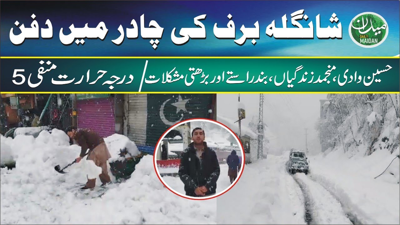 Снегопад превратил Шангла в сказочную страну | Красота сталкивается с трудностями: дороги, электр...