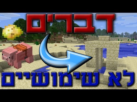 וִידֵאוֹ: באגים לגינה שימושיים