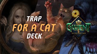 картинка: GWENT | Ranked Infinity сat | Бесконечный кот на рангах