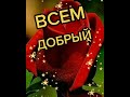 цветы