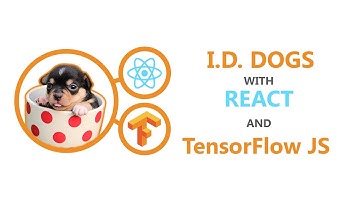 Build a Dog Breed Classifier with React and TensorFlow JS