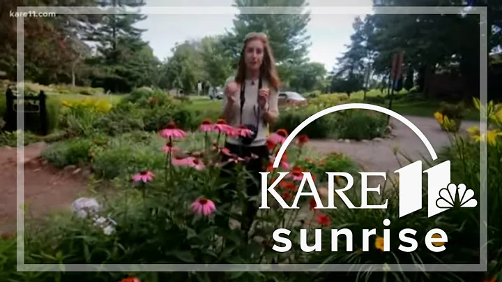 That's So Minnesota: Munsinger Clemens Gardens