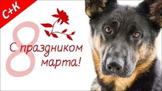 Поздравление с 8 марта!