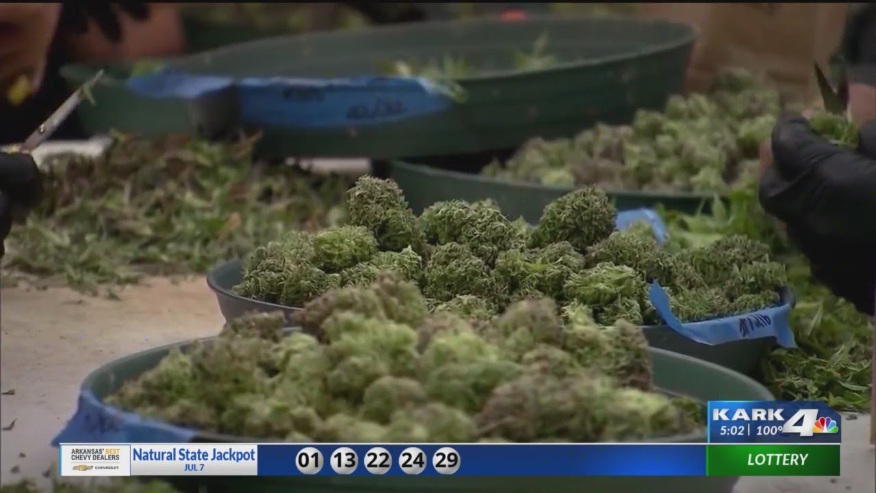 Group submits signatures for Arkansas recreational marijuana amendment 