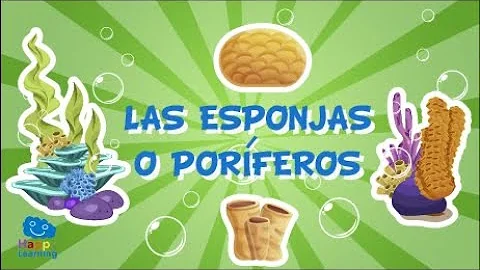 Que ambiente vivem as esponjas?