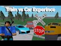 The Train VS Car Experience