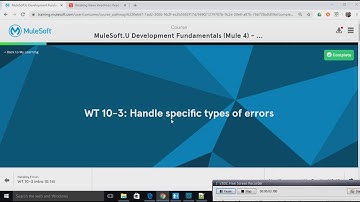 MuleSoft-WT 10-3: Handle specific types of errors
