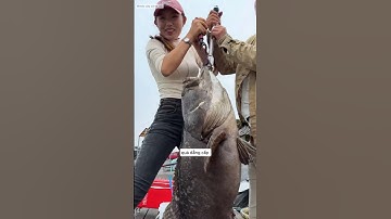 em cần thủ và tiểu vũ đi câu cá mũ bị anh chủ hồ khinh thường và cái kết #fishing #cauca #short