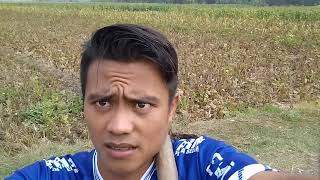 Nuruti gengsi gk mangan coy