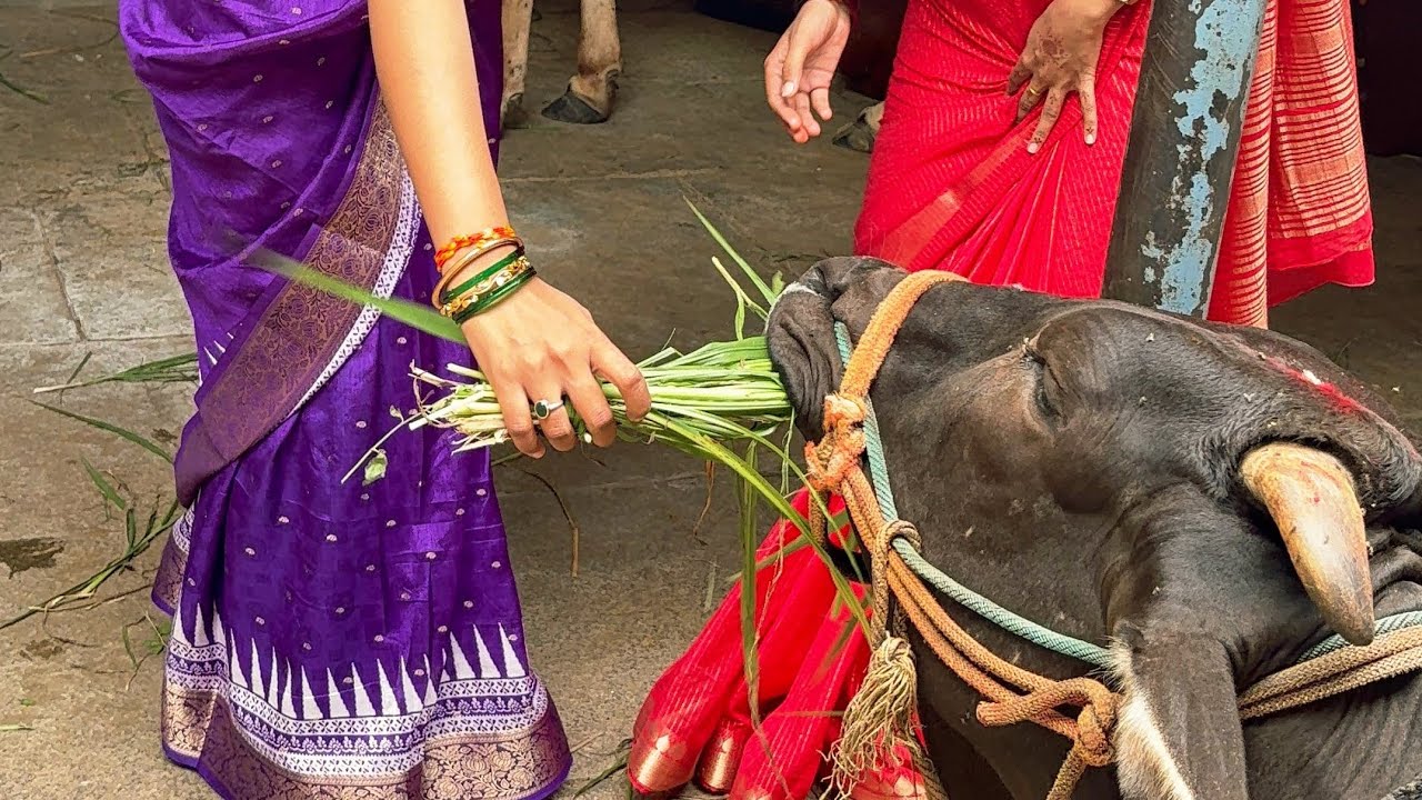 6 days rangoli designs 😍🌺 .....#rangoli#kolamdesigns #rangoli #muggulu#easyrangoli#dailyrangoli 