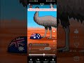 the battle of the outback
