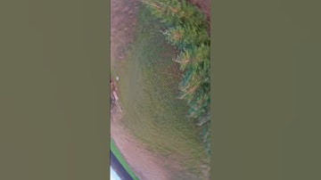 FPV Freestyle - Crazy drone