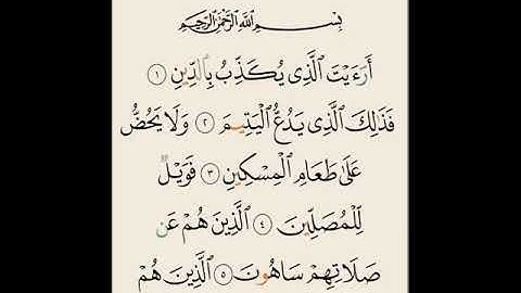 سورة الماعون مكررة 7 مرات الشيخ سعد الغامدي   Saad Al-Ghamdi- almaeun