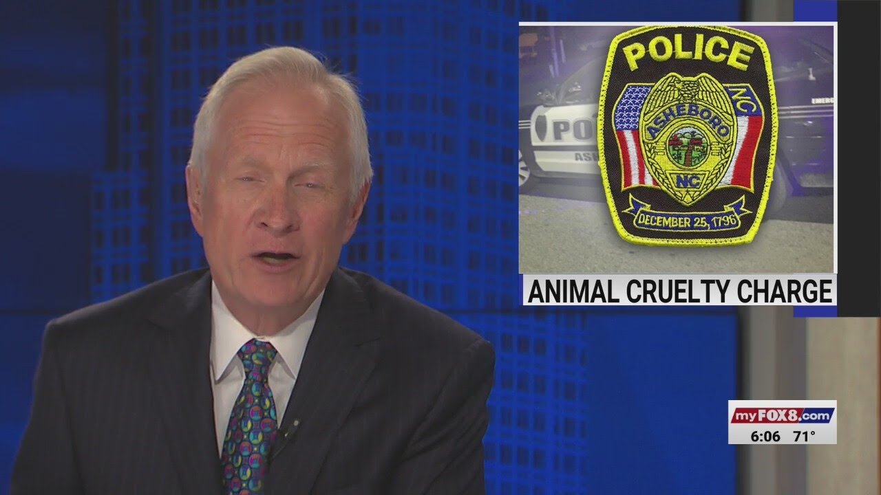 Person charged with animal cruelty after leaving dog in hot car at ...