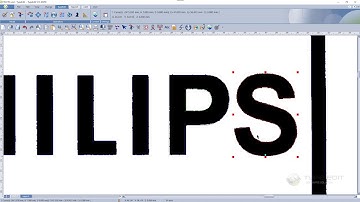 TYPE EDIT V13 | Vectorization & Cleaning Vectors