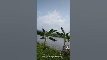 Mùa vải thiều Lục Ngạn, Bắc Giang