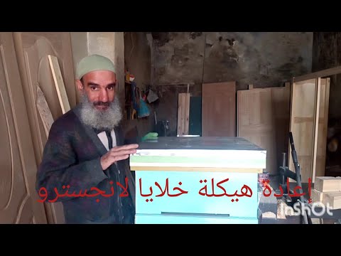 إعادة هيكلة المنحل الجزءالأول ملخص فيديو من الأرشيف