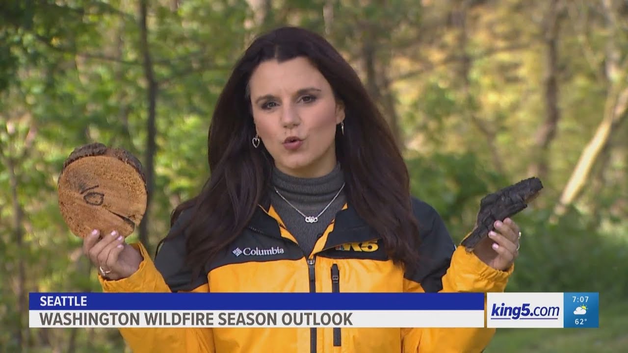 Fire season outlook Erica Zucco for KING 5 (NBC) in Seattle YouTube