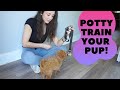 How to BELL TRAIN Your Puppy to Go Potty Outside!