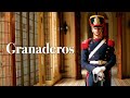 Granaderos de la Nación - Casa Rosada