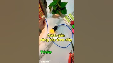 Hướng dẫn cách sử dụng công tắc quả nhót #Shorts #tricks