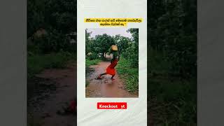 Download Lagu #party #dj #song #love #viral #remix #music #trending MP3 Download Lagu #party #dj #song #love #viral #remix #music #trending MP3